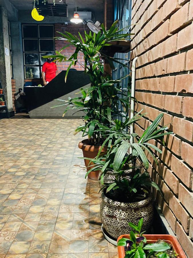House Of Lights Hotel Solan Ngoại thất bức ảnh
